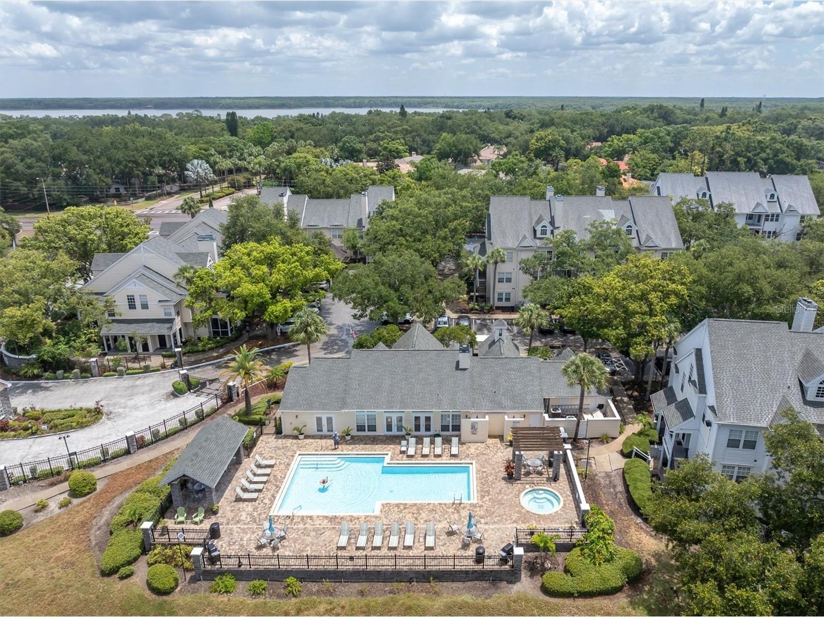 3313 Haviland Court #203 Palm Harbor FL 34684 TB8524059 image3