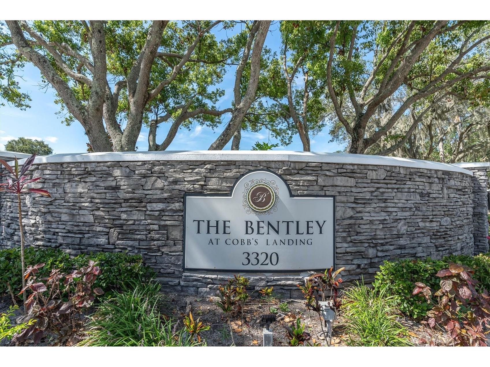 3313 Haviland Court #203 Palm Harbor FL 34684 TB8524059 image4