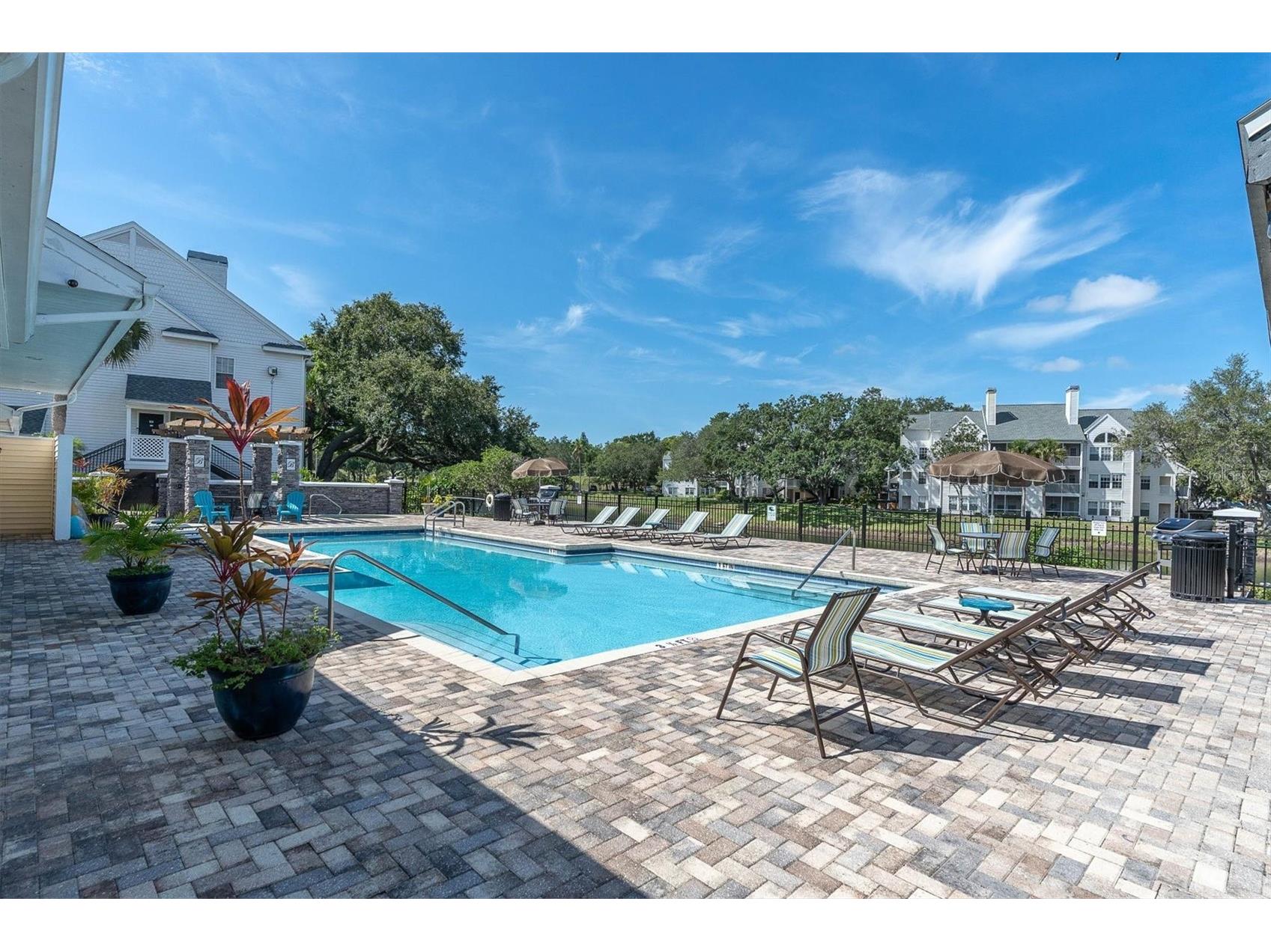 3313 Haviland Court #203 Palm Harbor FL 34684 TB8524059 image6