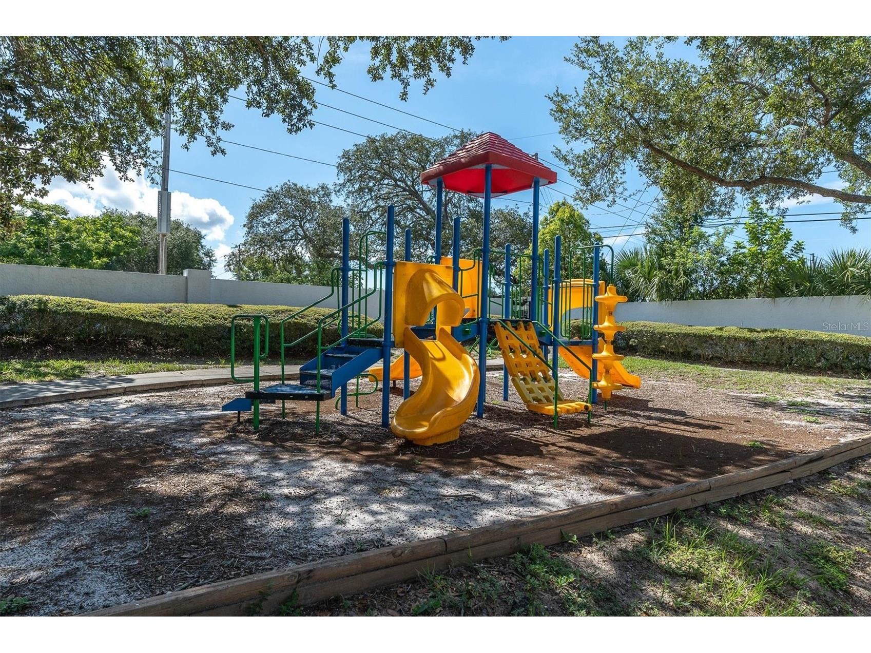 3313 Haviland Court #203 Palm Harbor FL 34684 TB8524059 image9