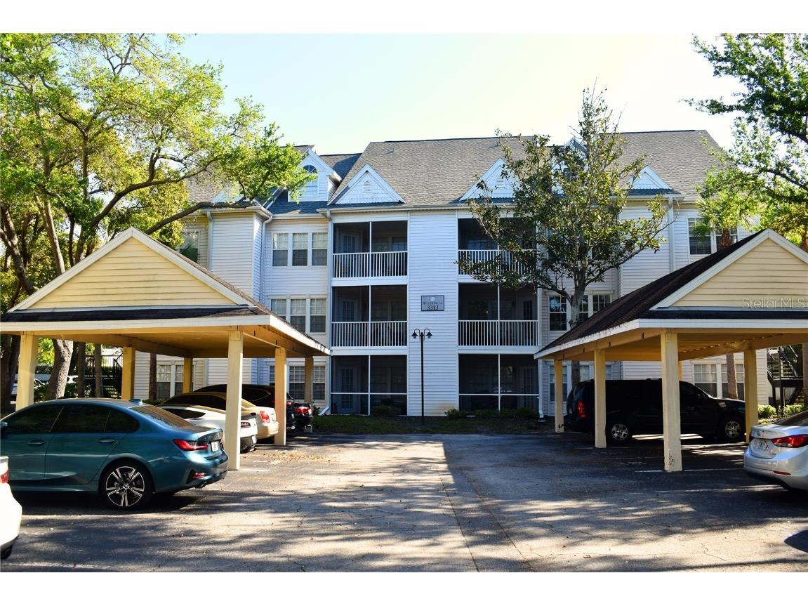 3313 Haviland Court #204 Palm Harbor FL 34684 U8156779 image1