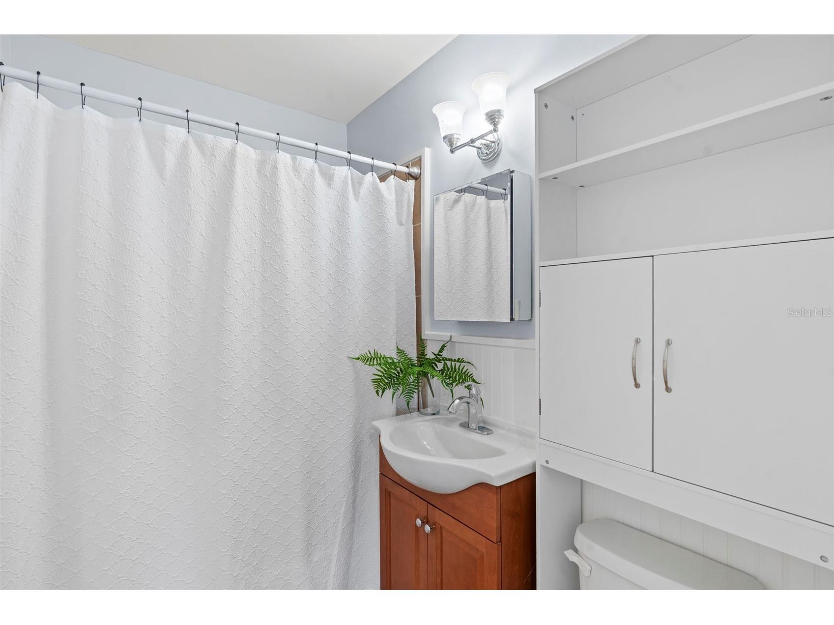 3313 Price Tampa FL 33611 TB8500549 image18
