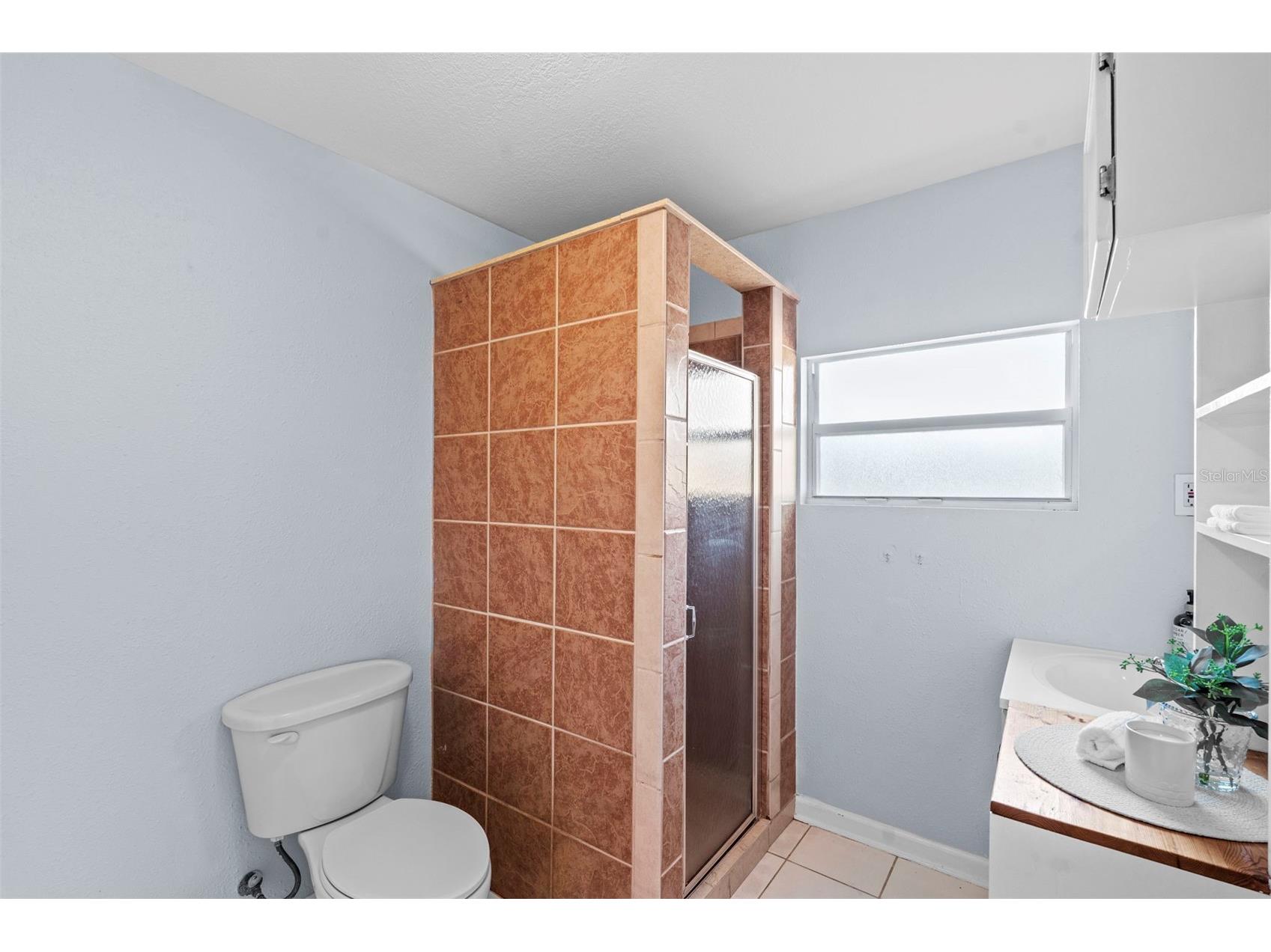 3313 Price Tampa FL 33611 TB8500549 image25