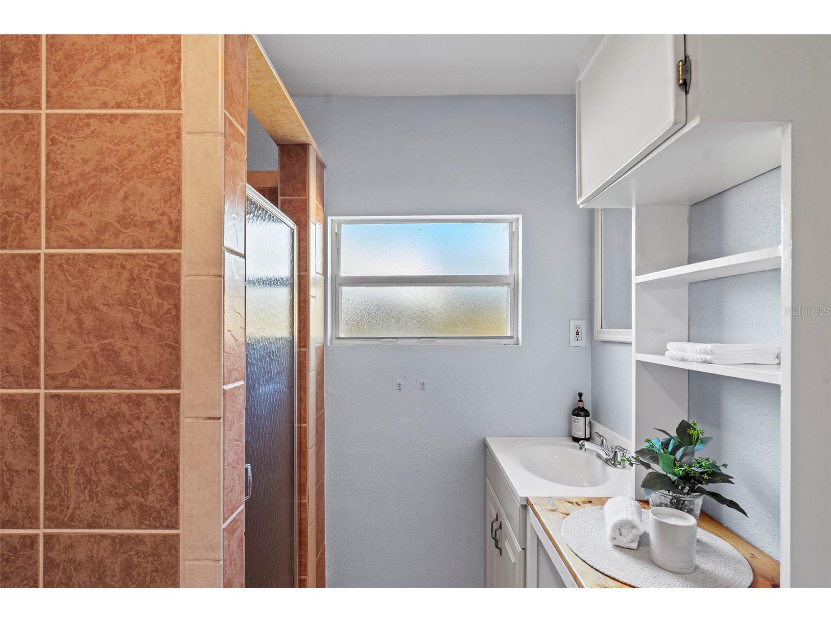 3313 Price Tampa FL 33611 TB8500549 image26
