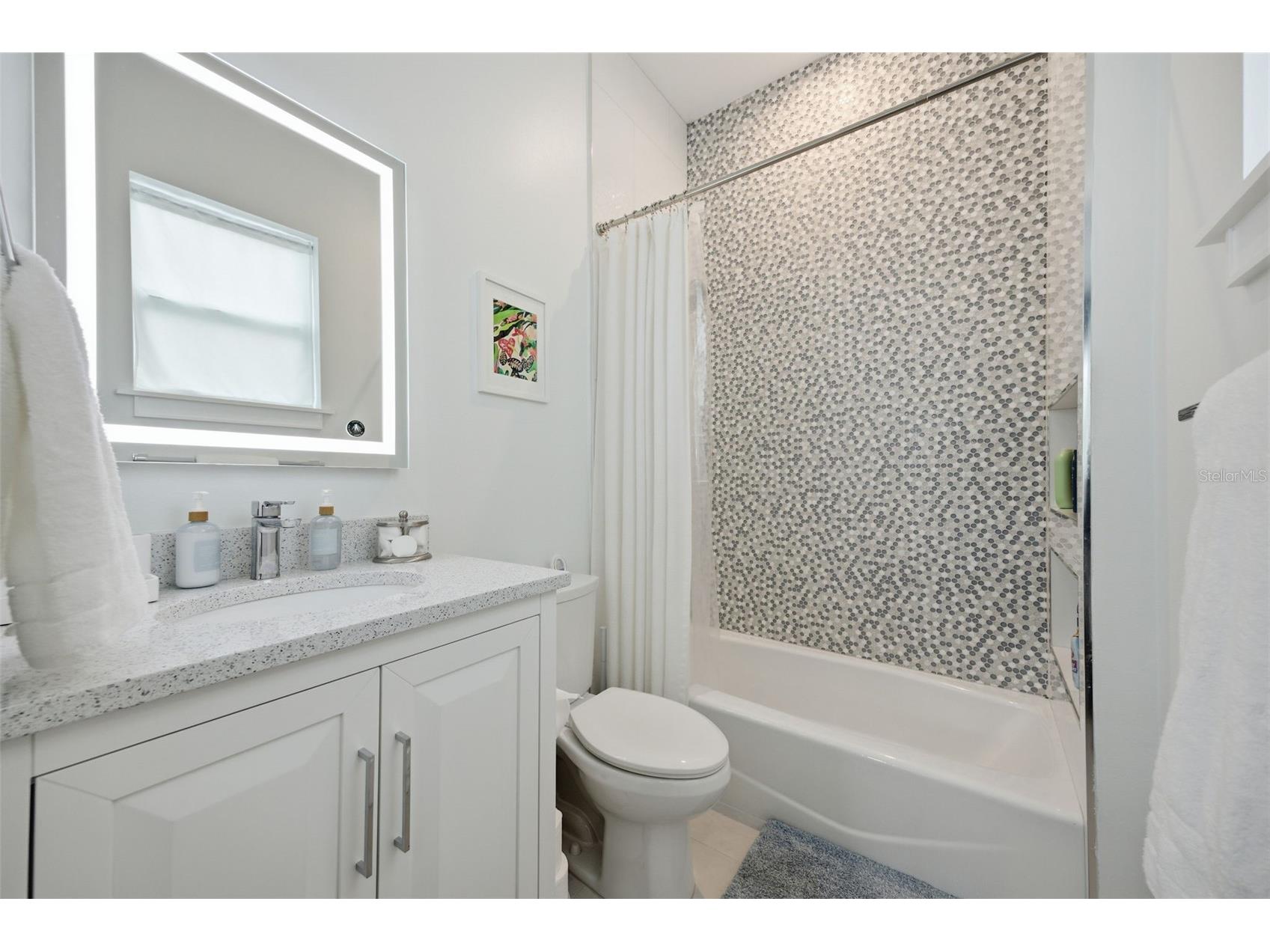 3313 W Maritana Drive Saint Pete Beach FL 33706 TB8509163 image23