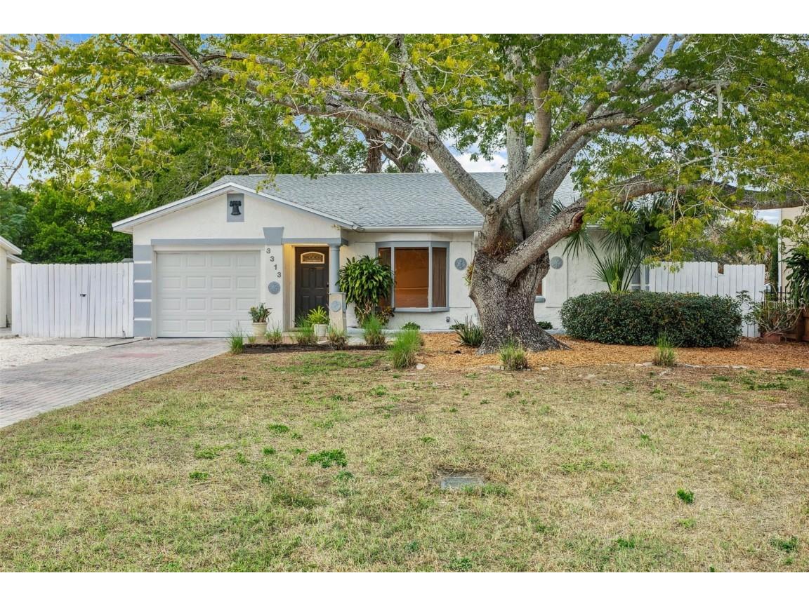 3313 W Pearl Avenue Tampa FL 33611 T3527565 image1