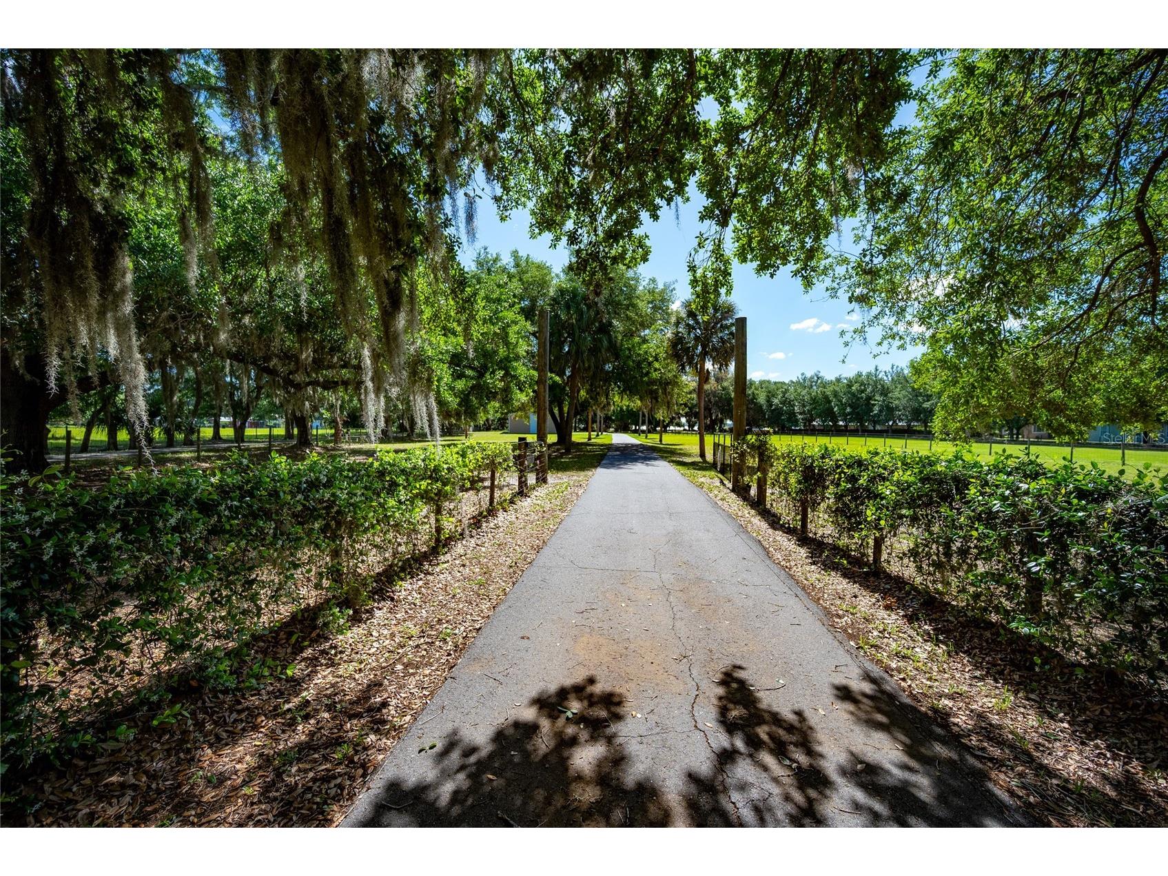 3313 Westshore Drive Saint Cloud FL 34772 - ALLIGATOR LAKE O6393497 image3