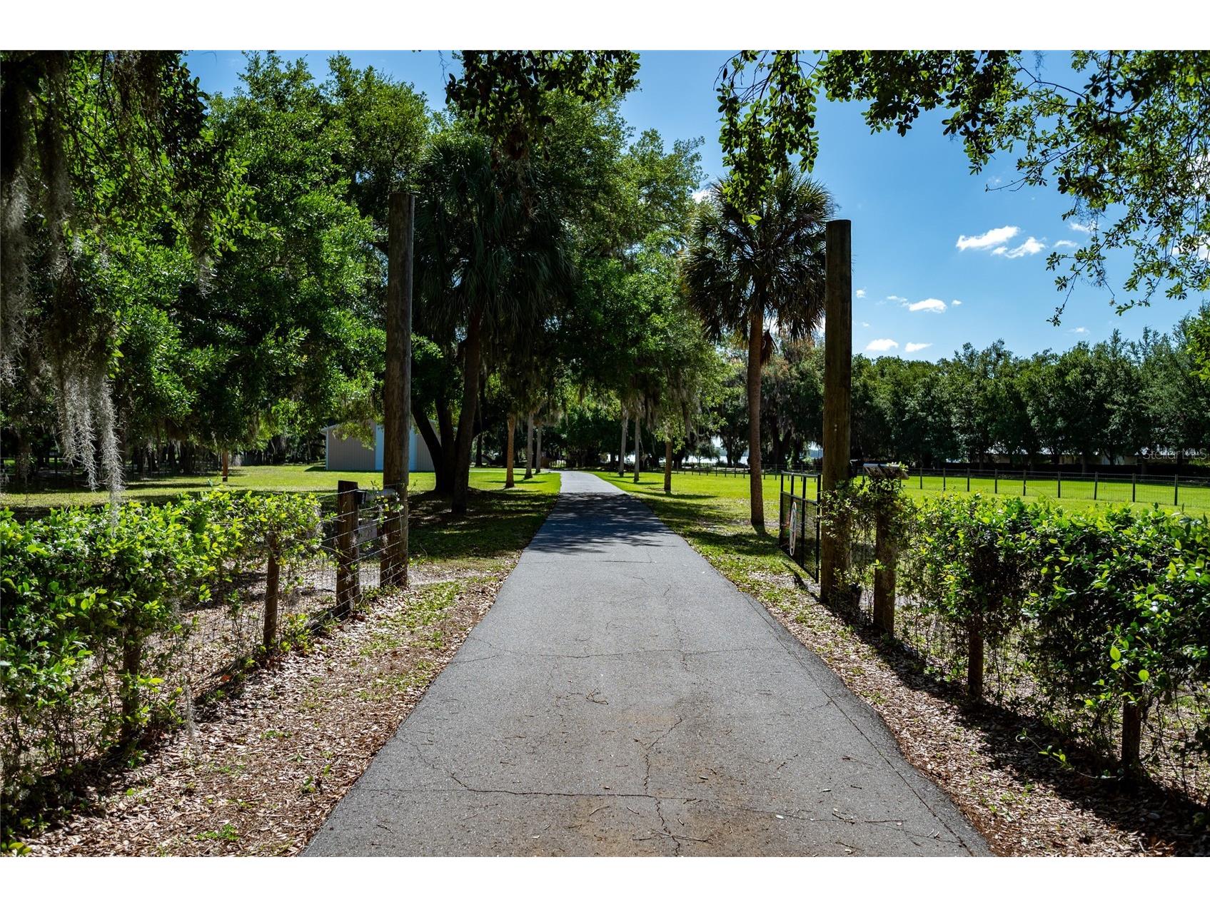 3313 Westshore Drive Saint Cloud FL 34772 - ALLIGATOR LAKE O6393497 image4