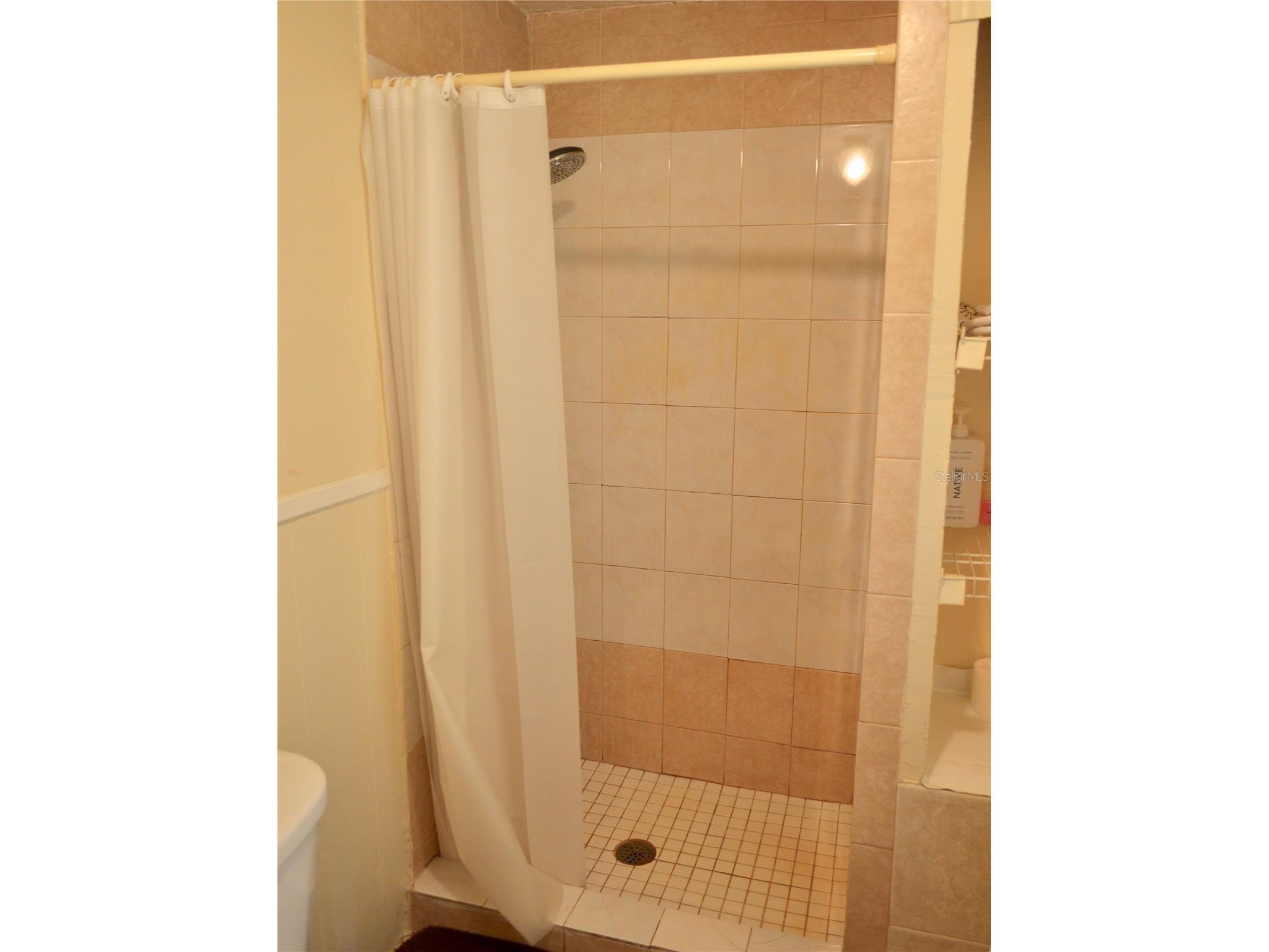 33135 Forest Ridge Road Deland FL 32720 V4949803 image19