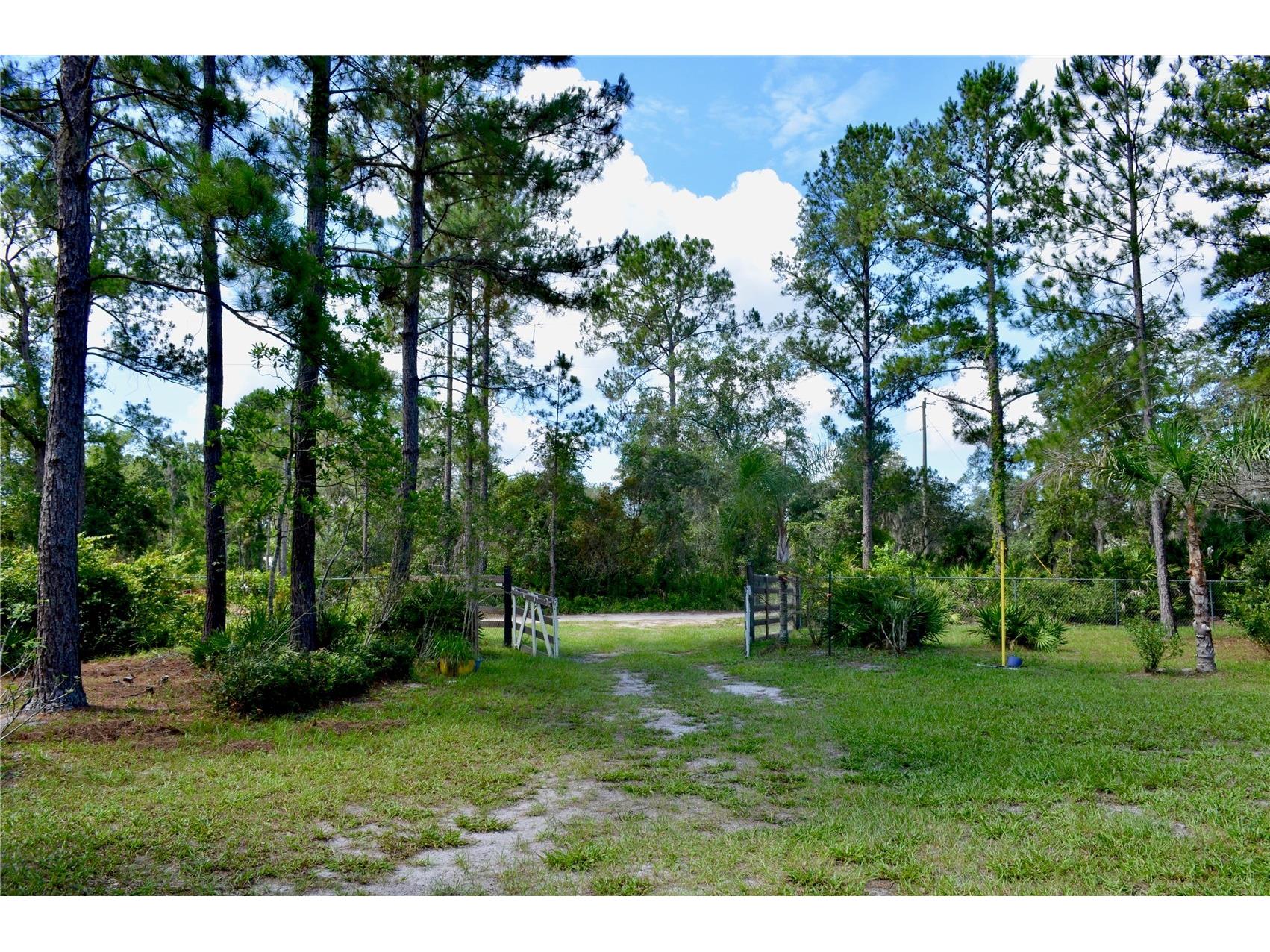 33135 Forest Ridge Road Deland FL 32720 V4949803 image2