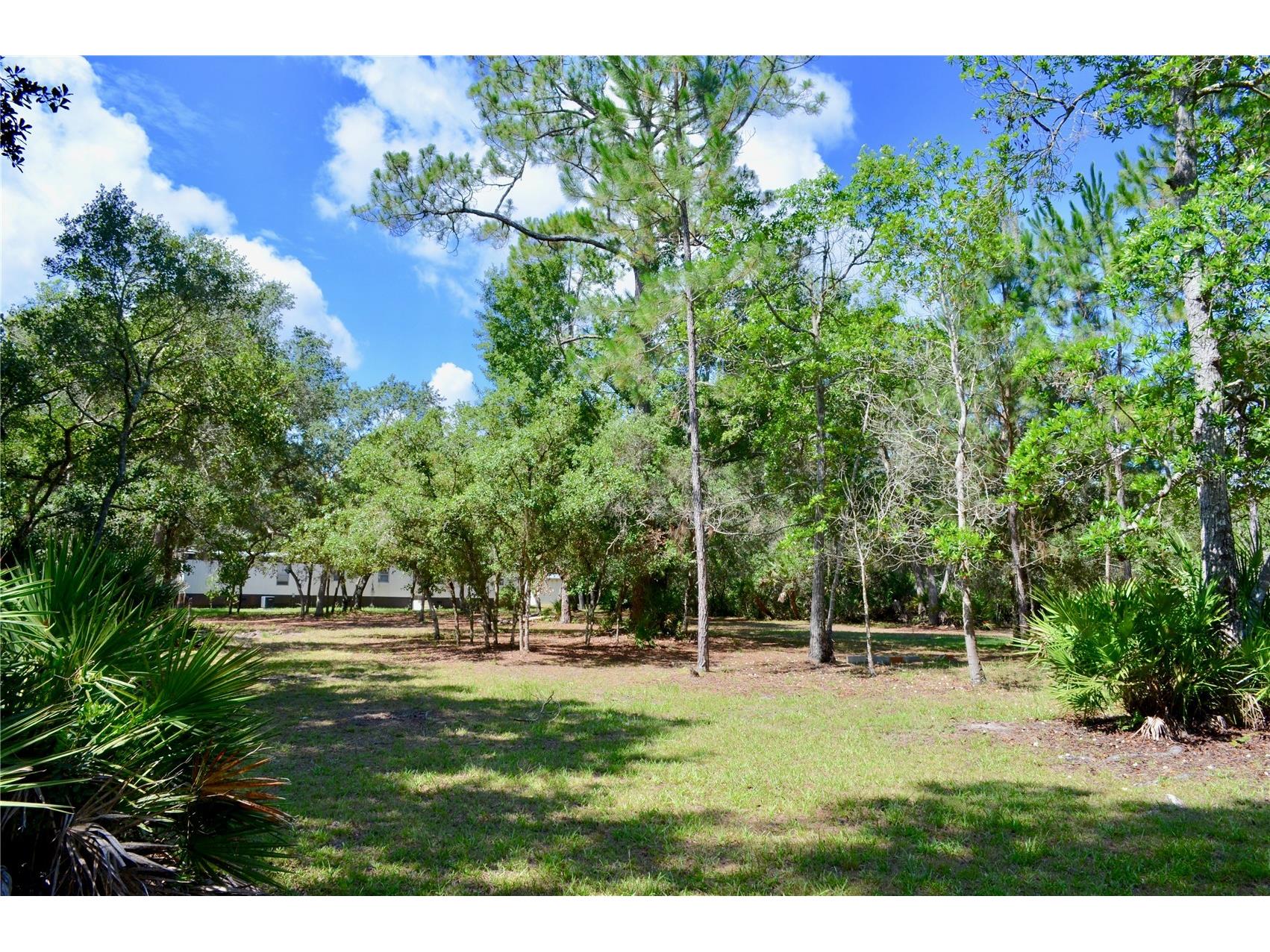 33135 Forest Ridge Road Deland FL 32720 V4949803 image5
