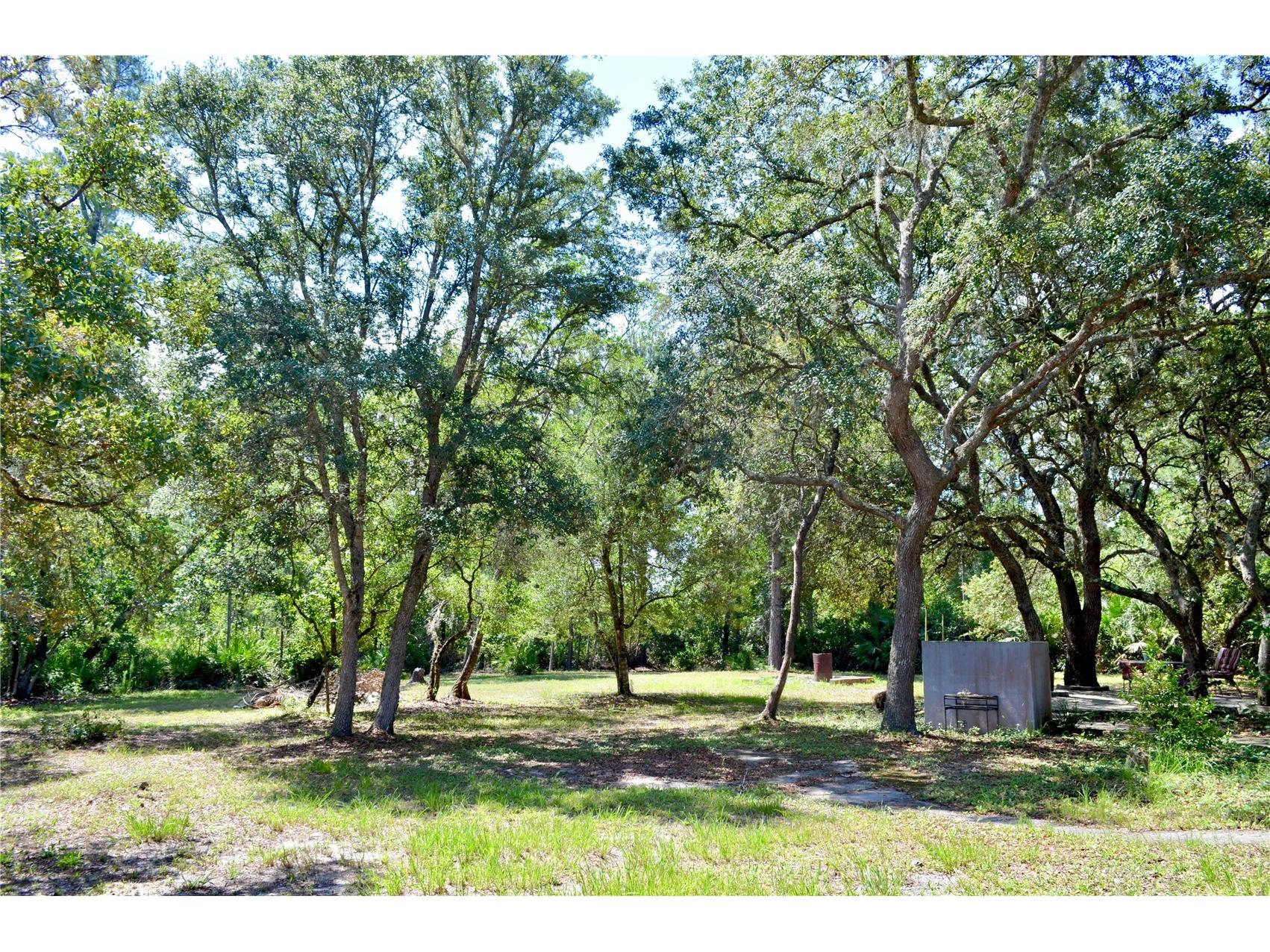 33135 Forest Ridge Road Deland FL 32720 V4949803 image7