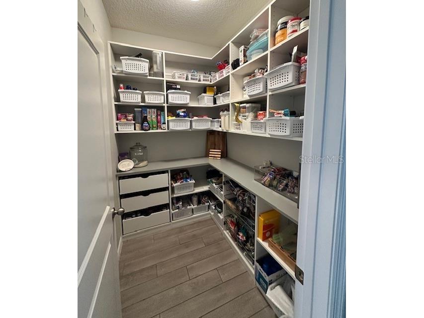 33135 Sand Creek Drive Wesley Chapel FL 33543 TB8443762 image12