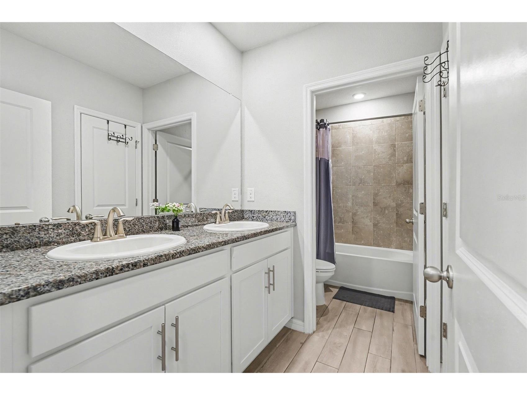 33135 Sand Creek Drive Wesley Chapel FL 33543 TB8443762 image23