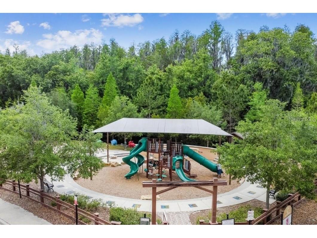 33135 Sand Creek Drive Wesley Chapel FL 33543 TB8443762 image45