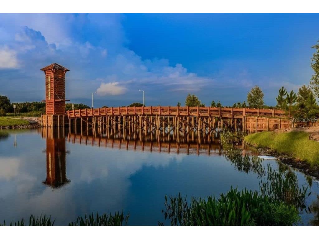 33135 Sand Creek Drive Wesley Chapel FL 33543 TB8443762 image47