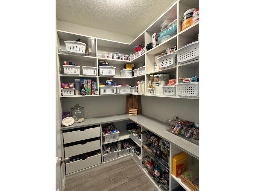33135 Sand Creek Drive Wesley Chapel FL 33543 TB8443762 image51
