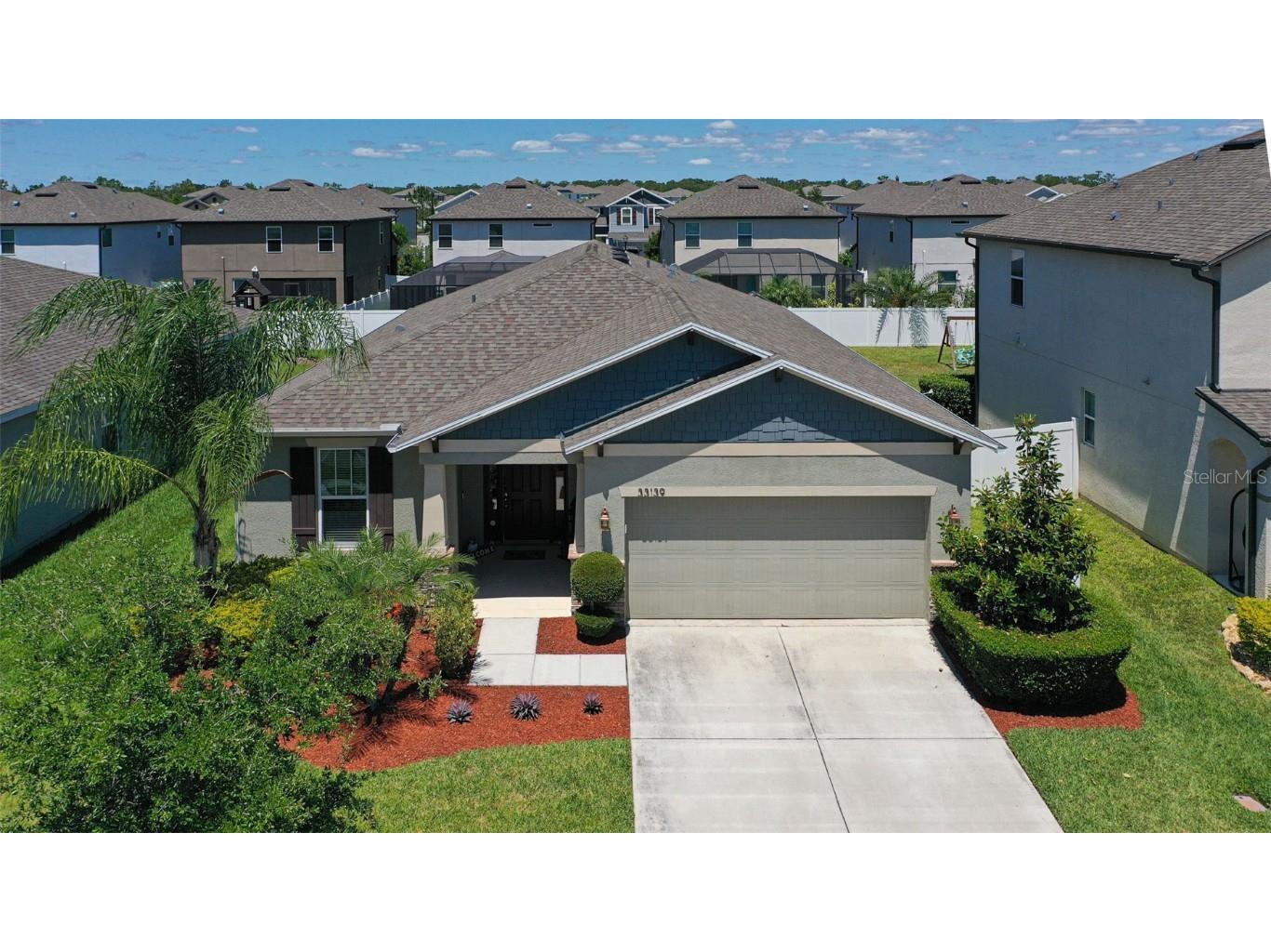 33139 Frogs Leap Lane Wesley Chapel FL 33545 T3521092 image1