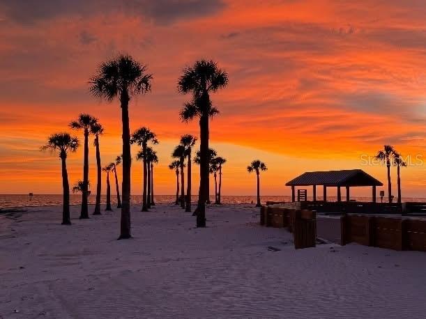 3314 Fernleaf Drive Hernando Beach FL 34607 TB8415551 image12