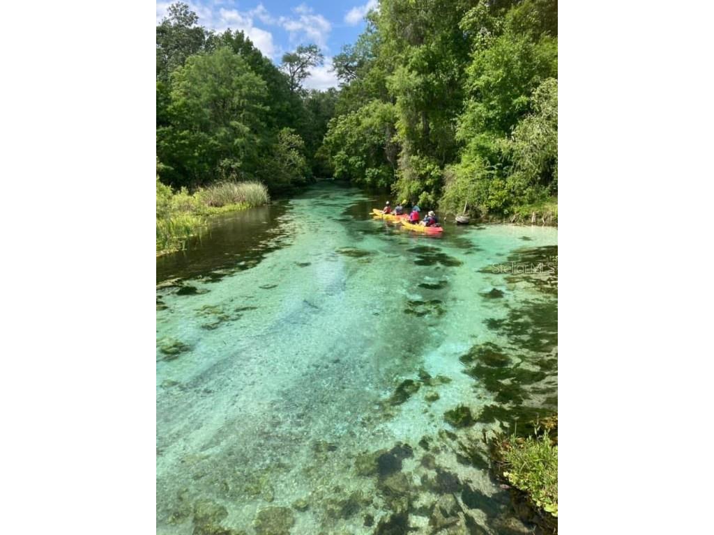 3314 Fernleaf Drive Hernando Beach FL 34607 TB8415551 image23