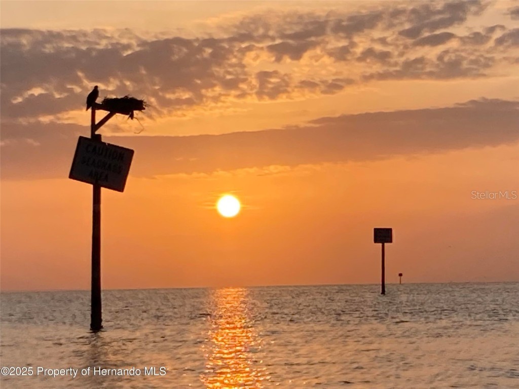 3314 Fernleaf Drive Hernando Beach FL 34607 TB8415551 image4