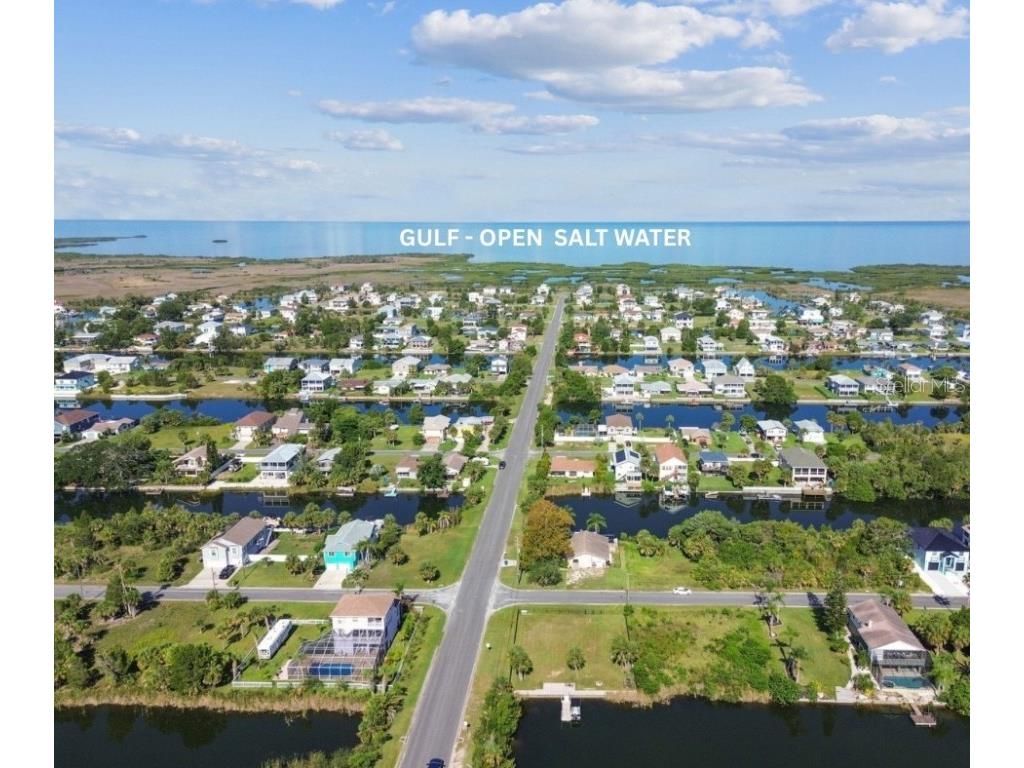 3314 Fernleaf Drive Hernando Beach FL 34607 TB8415551 image7