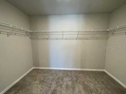 3314 Fresno Pl Zephyrhills FL 33541 TB8526471 image20