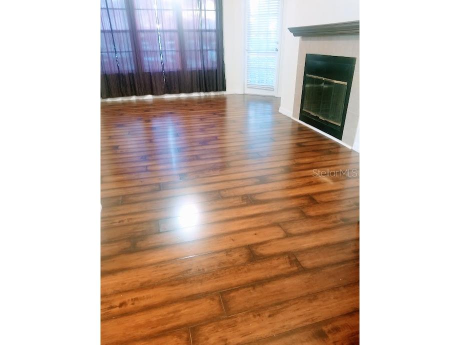 3314 Haviland Court #104 Palm Harbor FL 34684 TB8494712 image10
