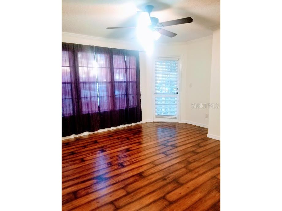 3314 Haviland Court #104 Palm Harbor FL 34684 TB8494712 image11