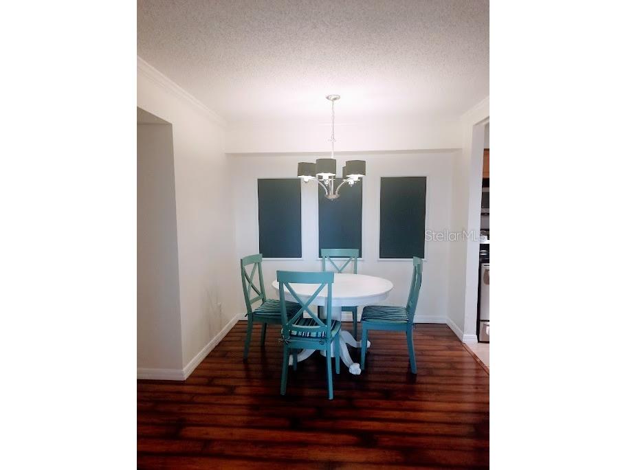 3314 Haviland Court #104 Palm Harbor FL 34684 TB8494712 image12