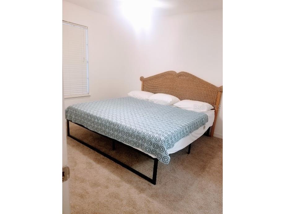 3314 Haviland Court #104 Palm Harbor FL 34684 TB8494712 image14