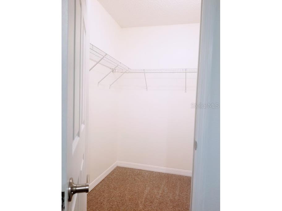 3314 Haviland Court #104 Palm Harbor FL 34684 TB8494712 image18