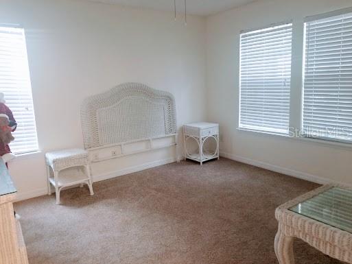 3314 Haviland Court #104 Palm Harbor FL 34684 TB8494712 image19