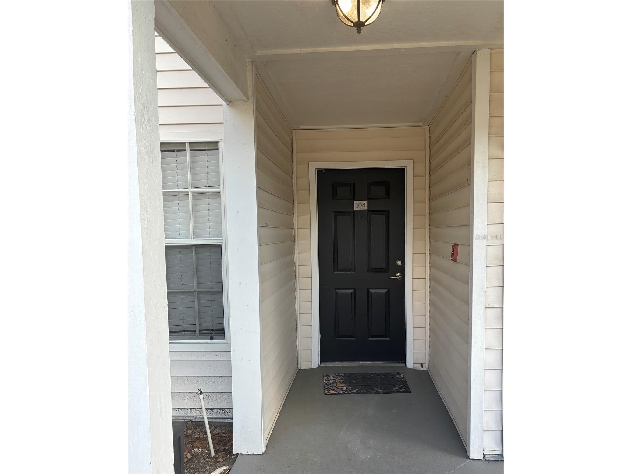 3314 Haviland Court #104 Palm Harbor FL 34684 TB8494712 image26