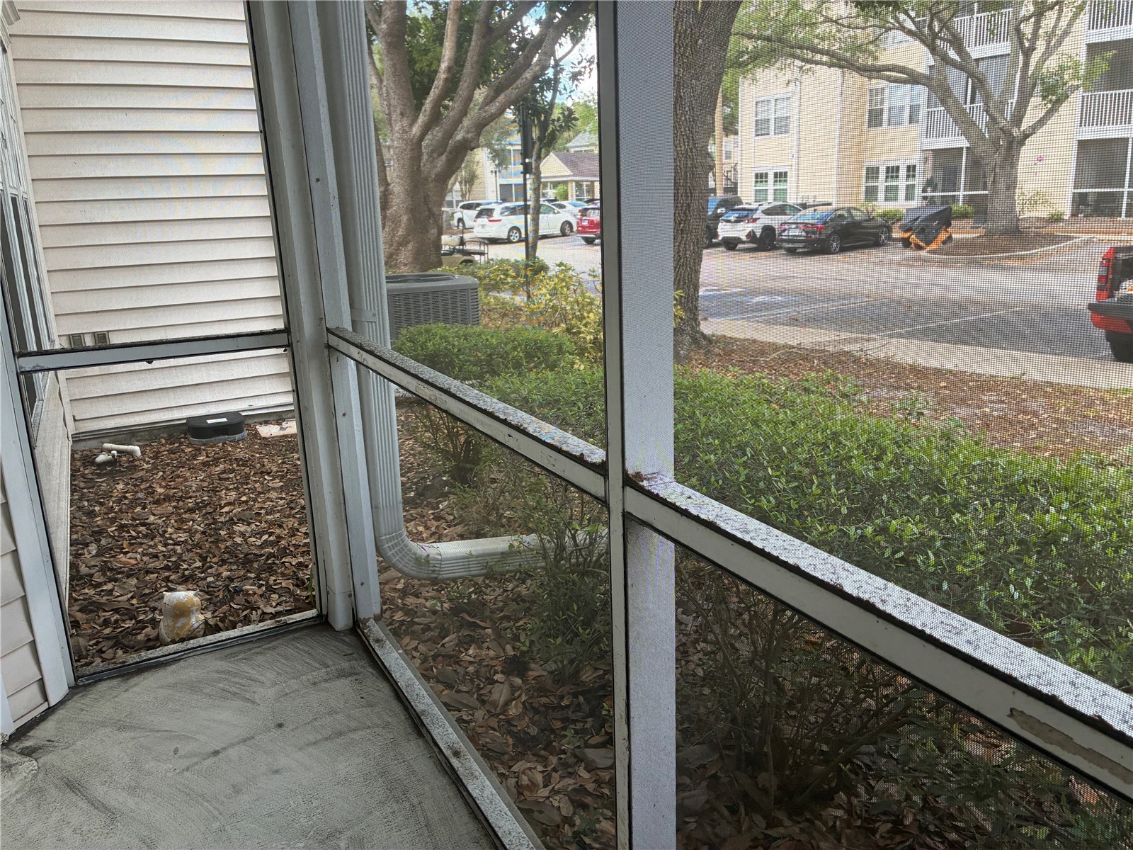 3314 Haviland Court #104 Palm Harbor FL 34684 TB8494712 image27