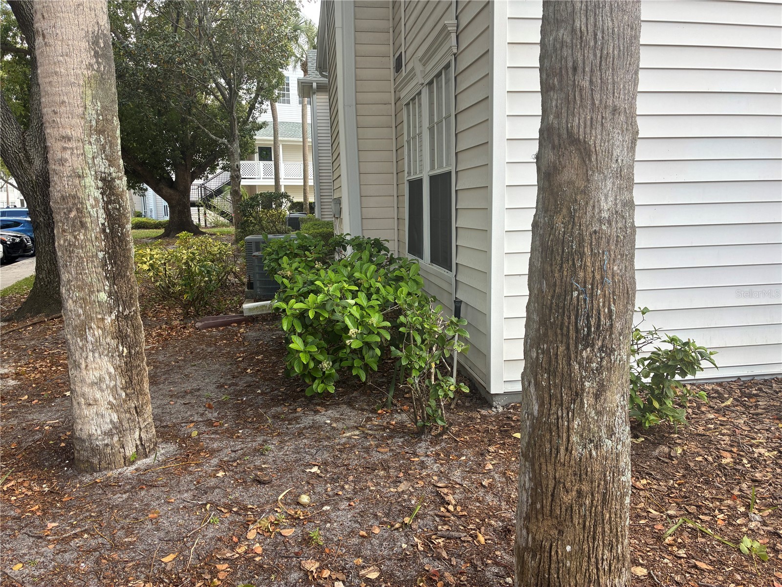 3314 Haviland Court #104 Palm Harbor FL 34684 TB8494712 image28