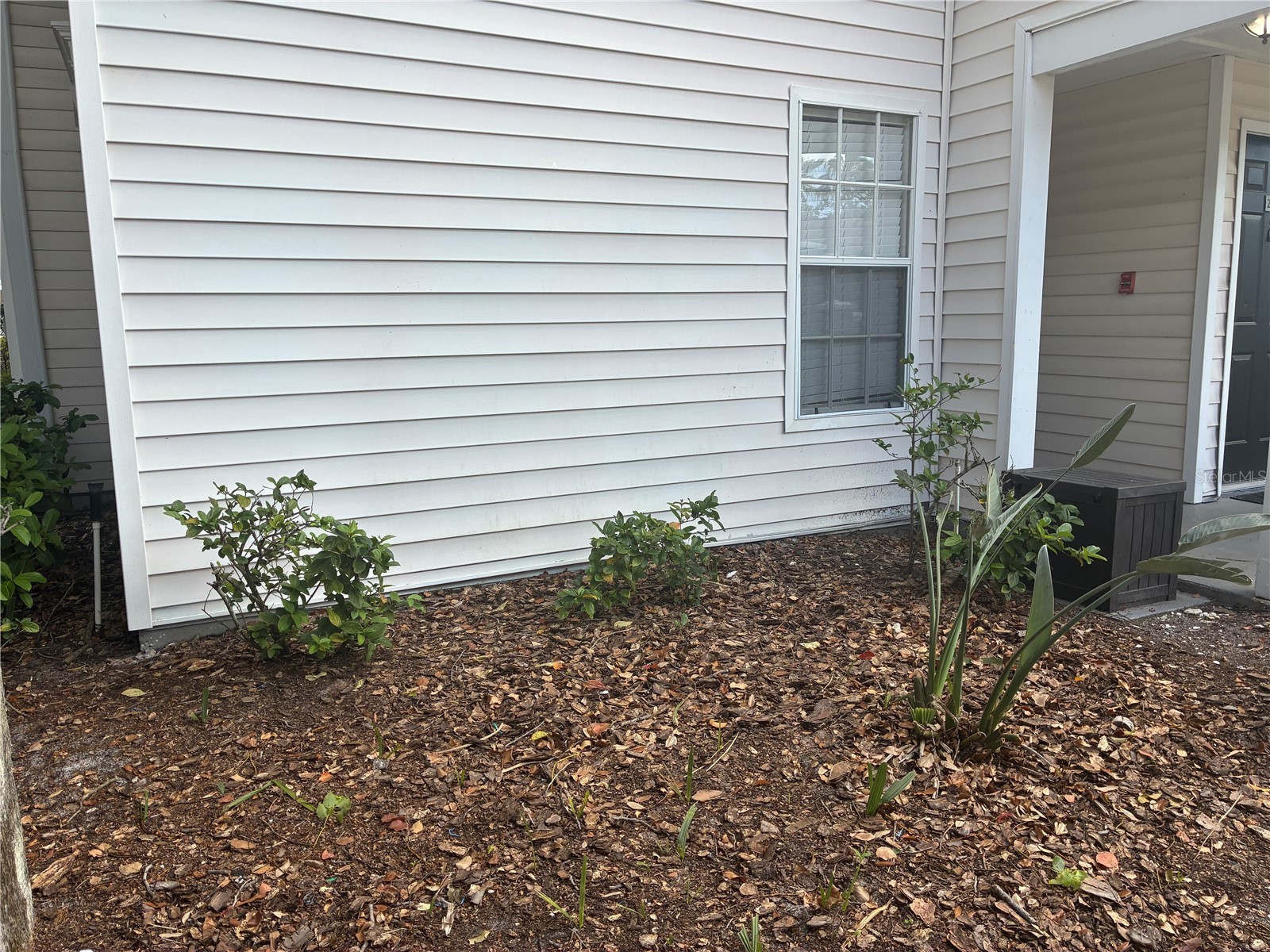 3314 Haviland Court #104 Palm Harbor FL 34684 TB8494712 image29