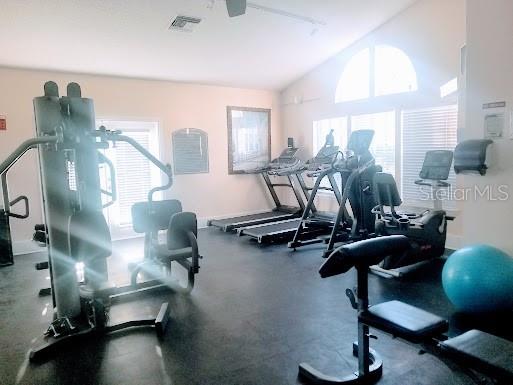 3314 Haviland Court #104 Palm Harbor FL 34684 TB8494712 image30