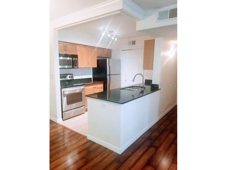 3314 Haviland Court #104 Palm Harbor FL 34684 TB8494712 image6