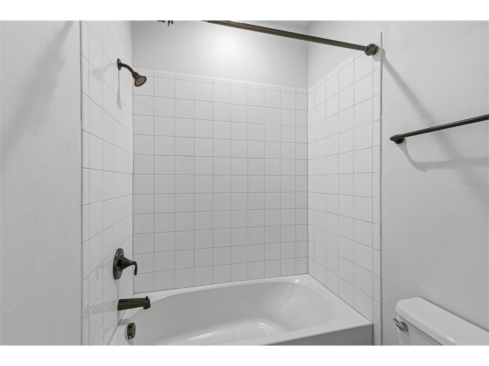 33140 Azalea Ridge Drive Wesley Chapel FL 33545 TB8503967 image33