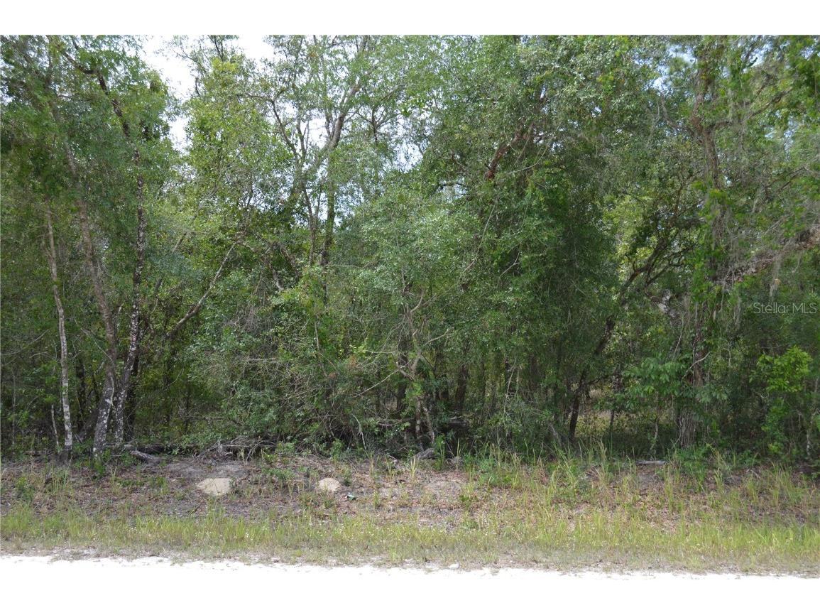 33140 Teakwood Drive Webster FL 33597 O6129336 image1