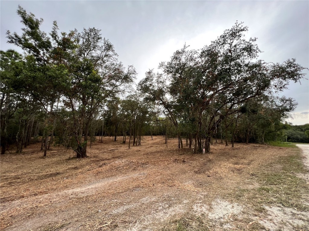 33140 Teakwood Drive Webster FL 33597 O6145930 image1