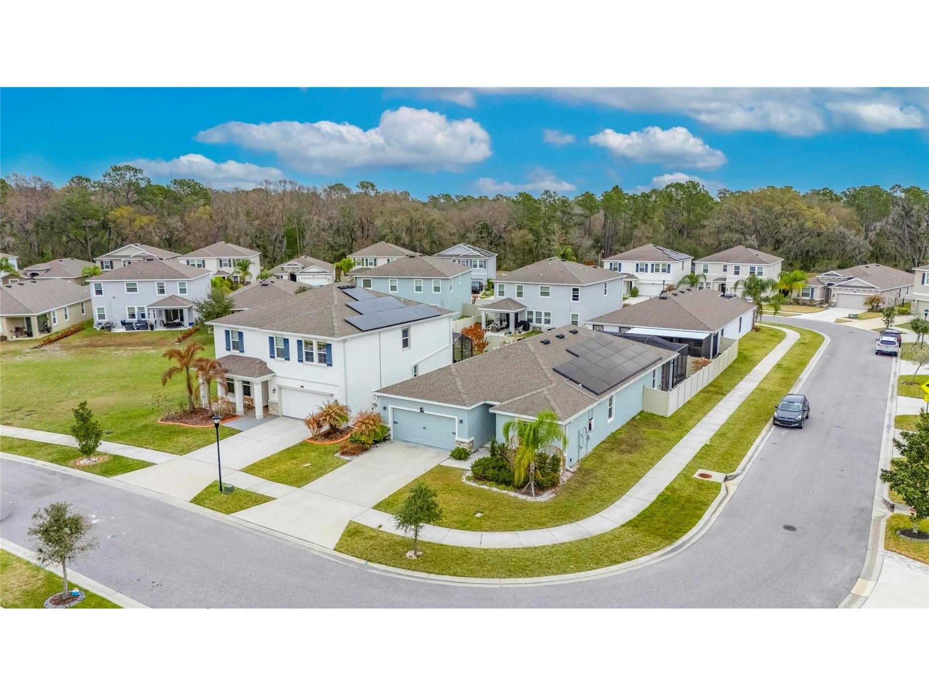 33146 Sand Creek Drive Wesley Chapel FL 33543 TB8479545 image3