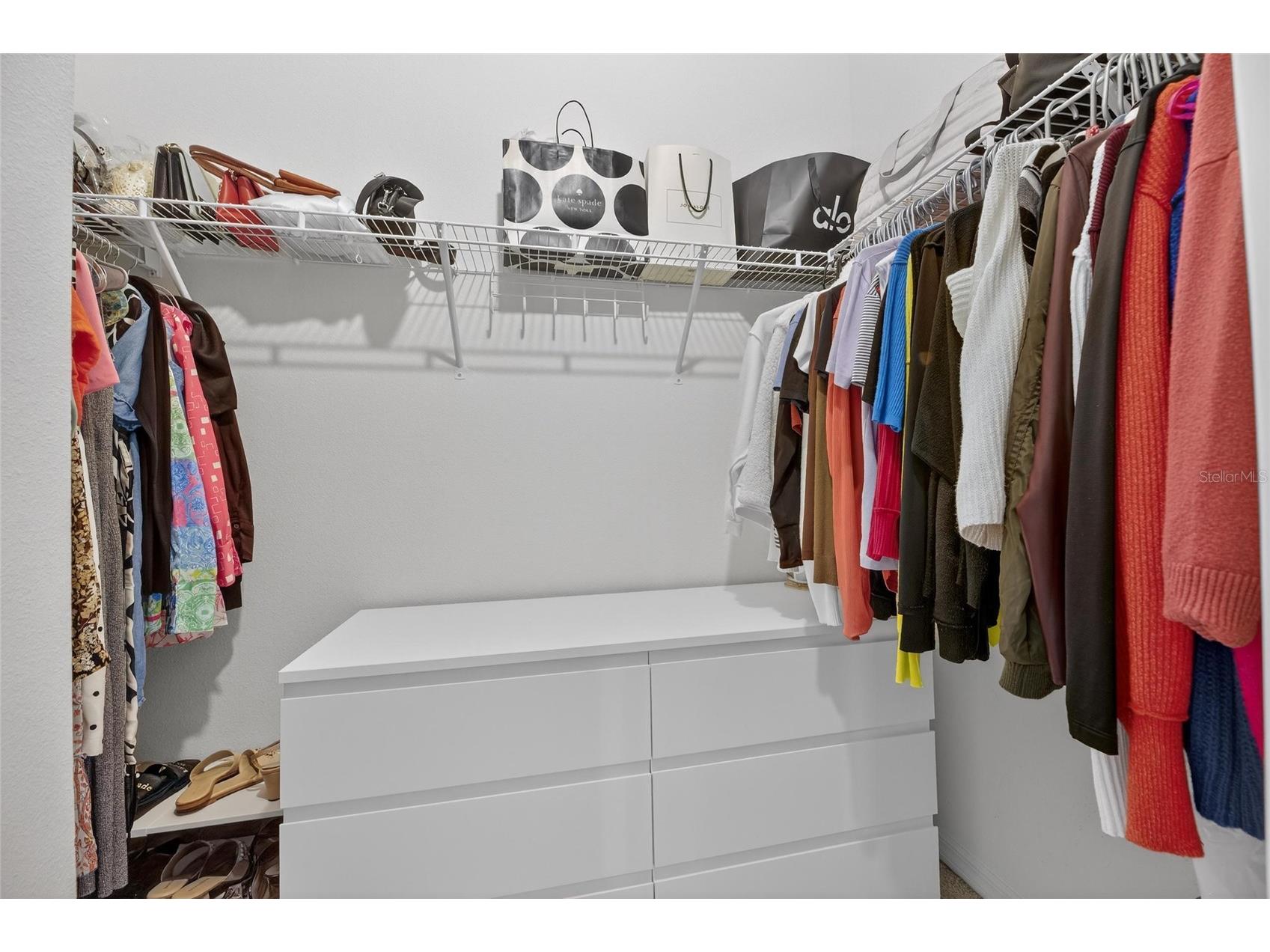 33146 Sand Creek Drive Wesley Chapel FL 33543 TB8479545 image34