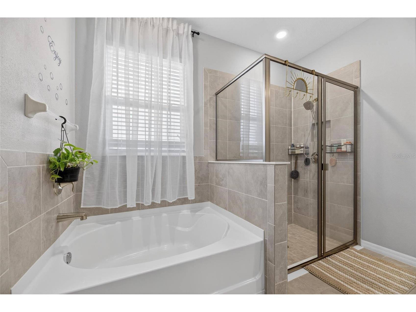 33146 Sand Creek Drive Wesley Chapel FL 33543 TB8479545 image38