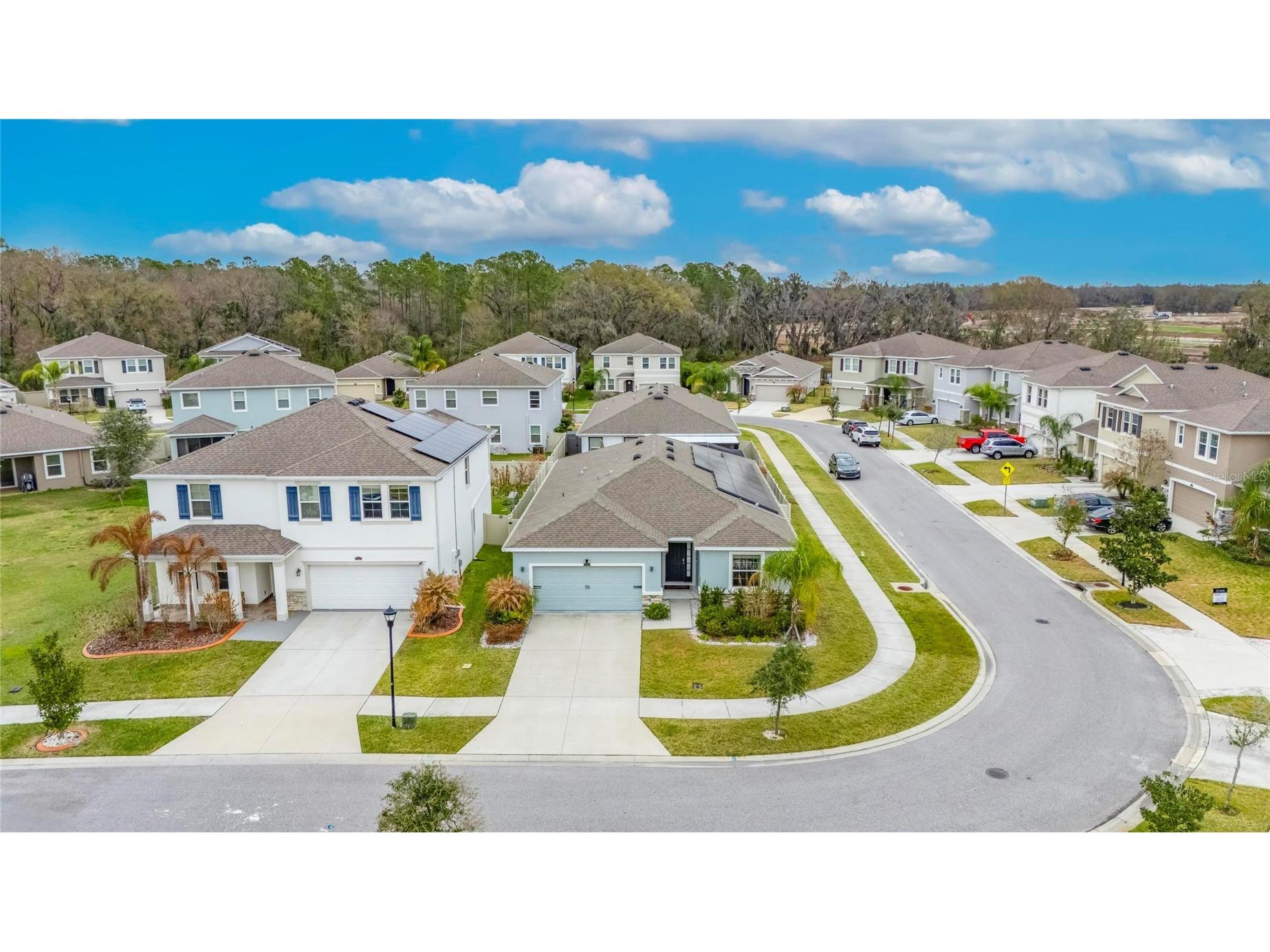 33146 Sand Creek Drive Wesley Chapel FL 33543 TB8479545 image4