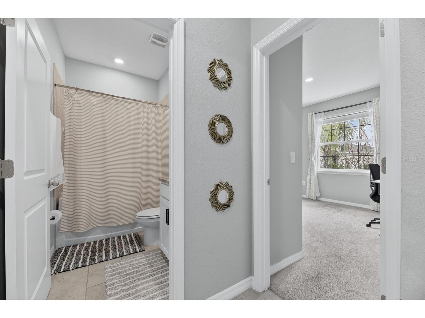 33146 Sand Creek Drive Wesley Chapel FL 33543 TB8479545 image40