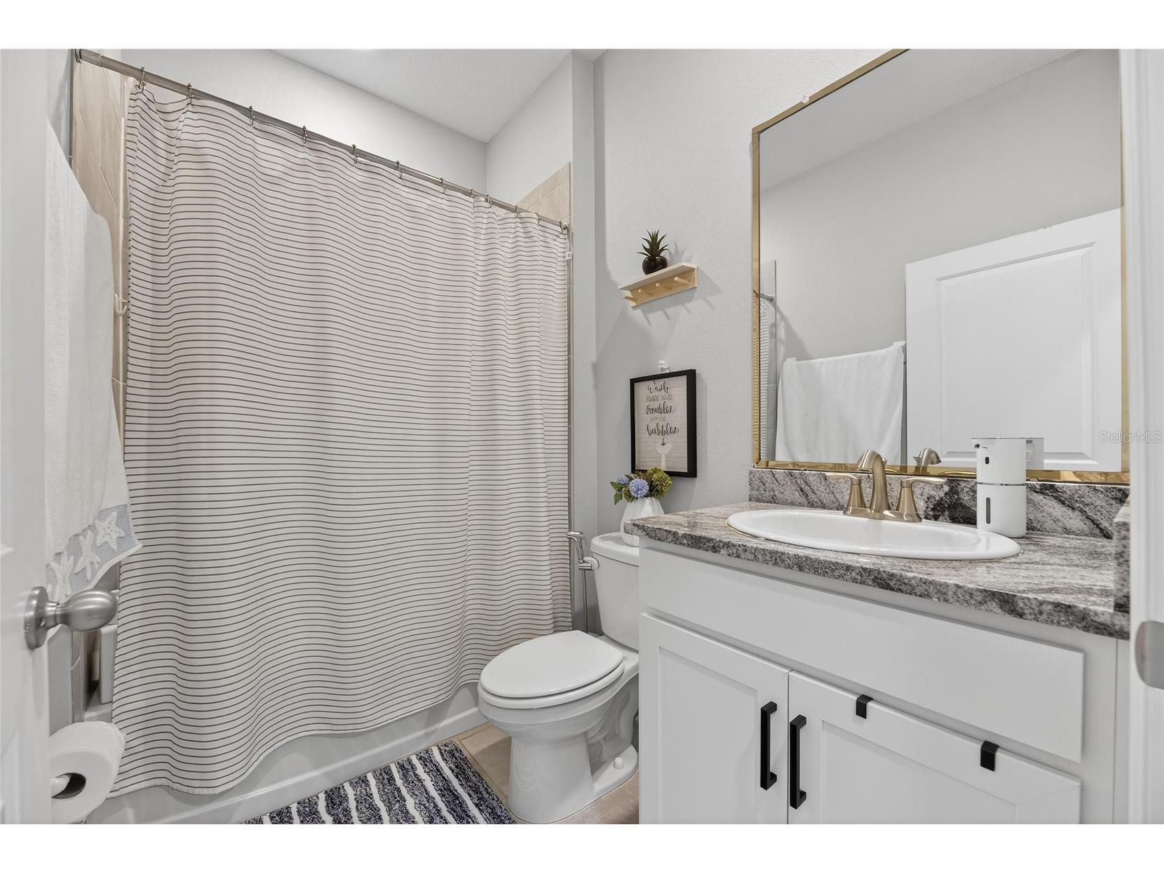 33146 Sand Creek Drive Wesley Chapel FL 33543 TB8479545 image41