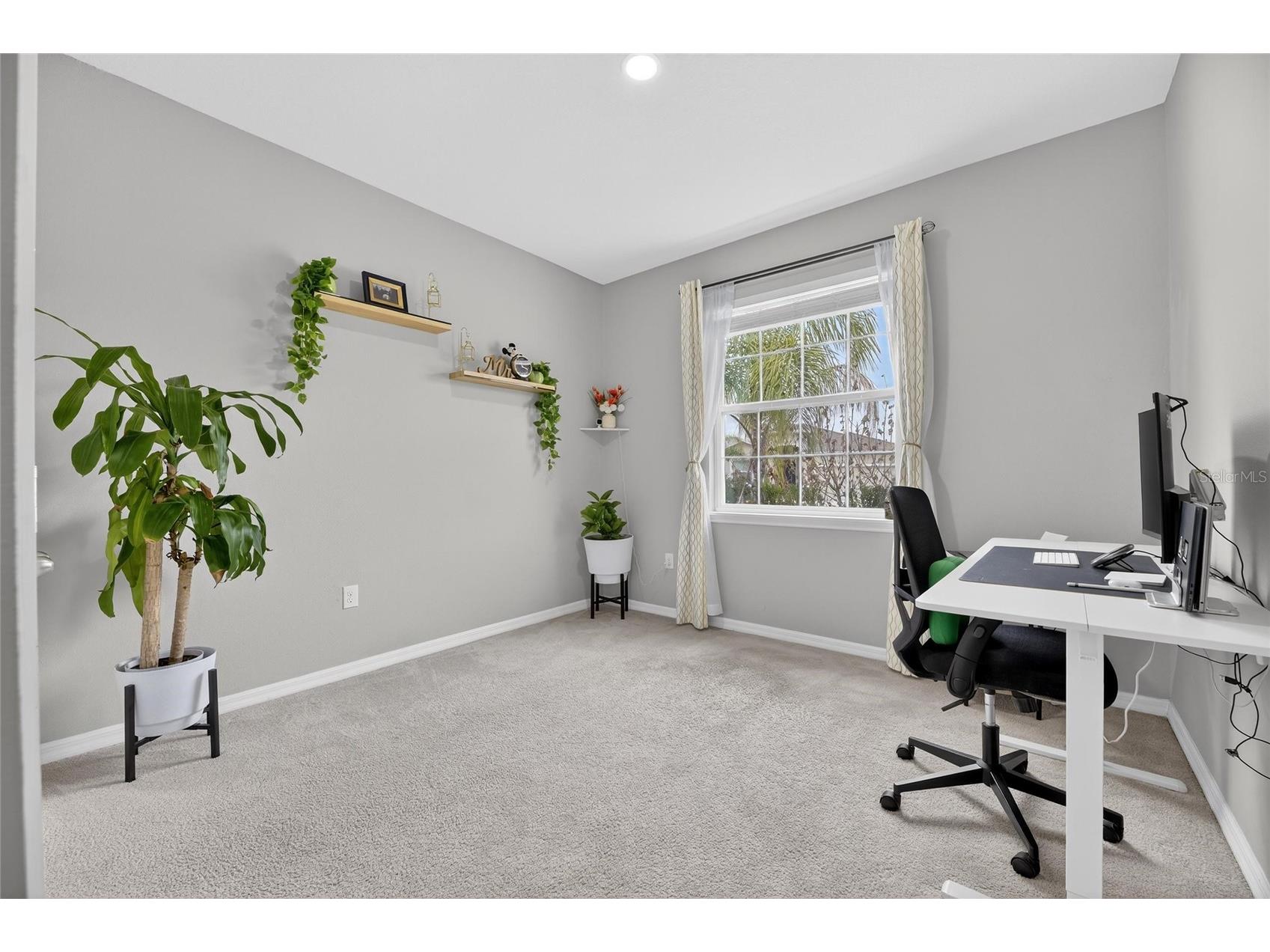 33146 Sand Creek Drive Wesley Chapel FL 33543 TB8479545 image46