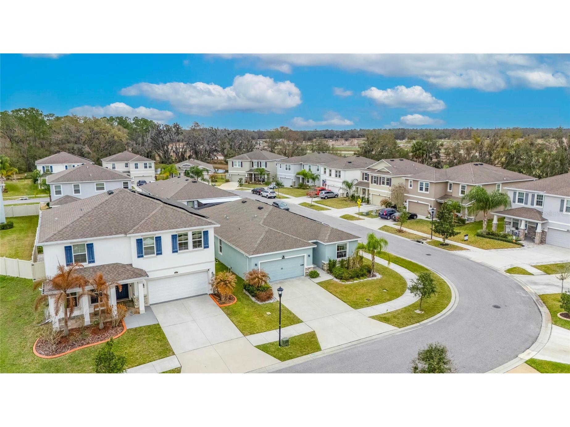 33146 Sand Creek Drive Wesley Chapel FL 33543 TB8479545 image5